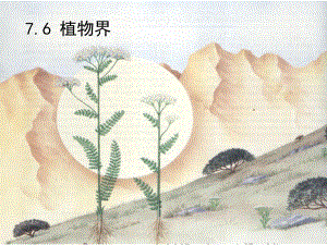 第7章76植物界.ppt