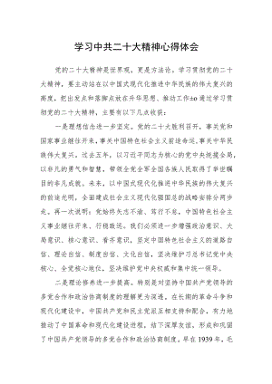 学习中共二十大精神心得体会.docx