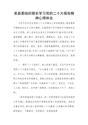 某县委组织部长学习党的二十大报告精神心得体会.docx