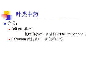第8章叶类中药名师编辑PPT课件.ppt
