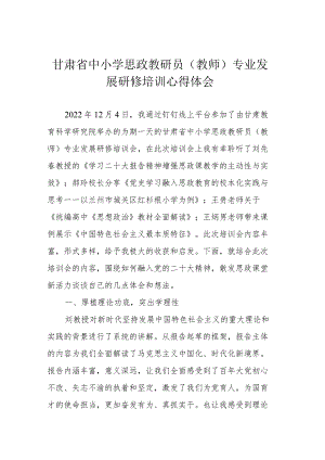 甘肃省中小学思政教研员（教师）专业发展研修培训心得体会.docx