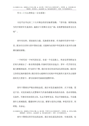 【精品文档】二十大心得体会（公安系统5篇）.docx