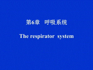 第6章呼吸系统Therespiratorsystem名师编辑PPT课件.ppt