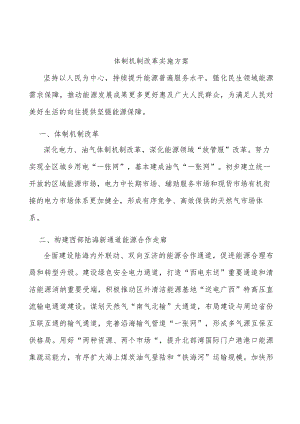 体制机制改革实施方案.docx