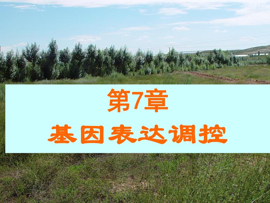 第7章基因表达调控.ppt_第1页