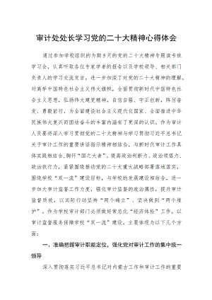 审计处处长学习党的二十大精神心得体会.docx