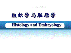 第7章 神经组织.ppt