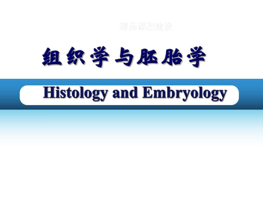 第7章 神经组织.ppt_第1页