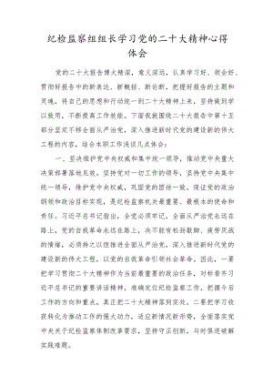 纪检监察组组长学习党的二十大精神心得体会二.docx