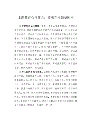 主题教育心得体会：铸魂立根强基固本.docx