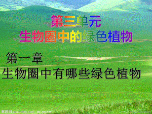 第一章第一节藻类苔藓和蕨类植物.ppt