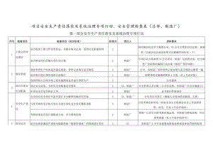 项目安全生产责任落实及系统治理专项行动、安全管理检查表.docx