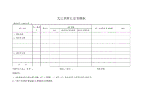 支出预算汇总表模板.docx