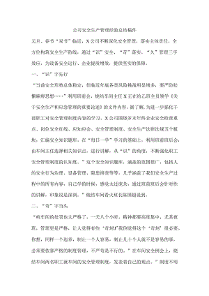 公司安全生产管理经验总结稿件.docx