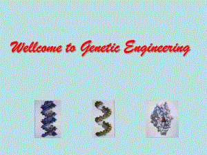 第一章基因工程绪论.ppt