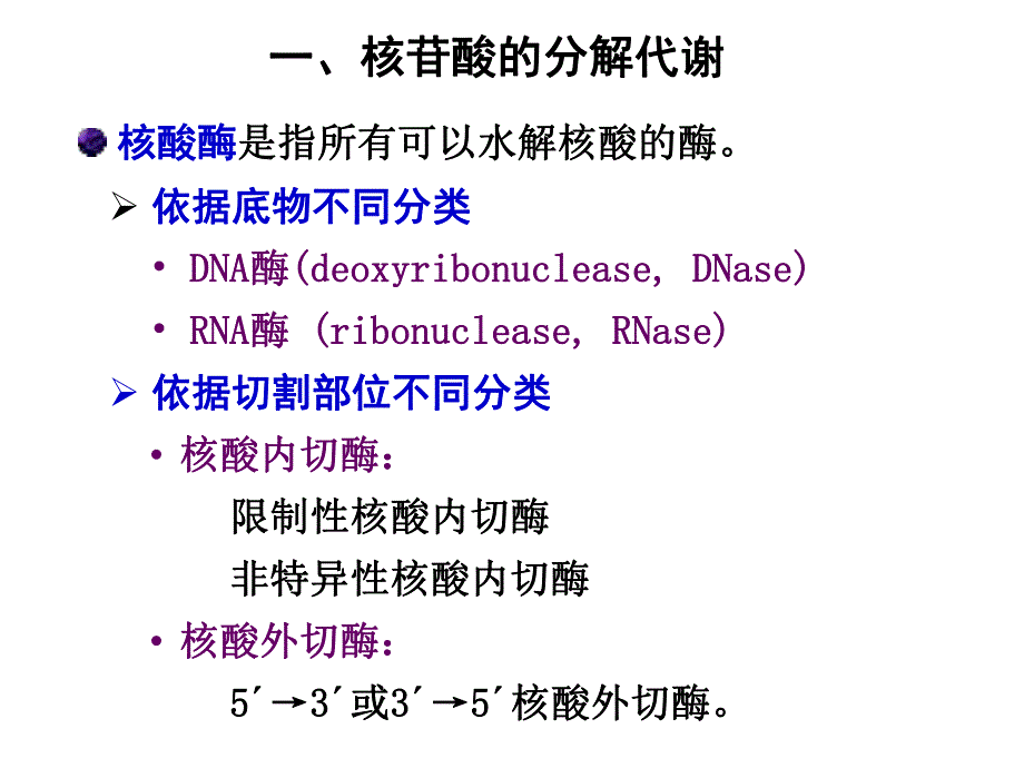 第9章核苷酸代谢.ppt_第3页