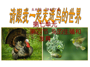 第一章第四节鸟的生殖和发育.ppt