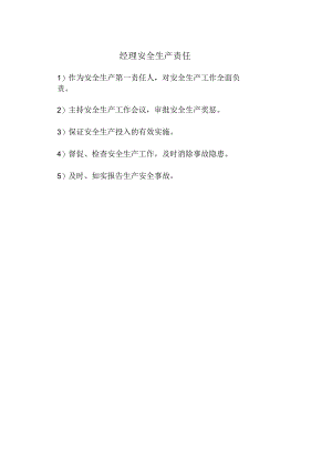 经理安全生产责任.docx