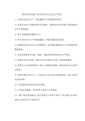 项目安全总监 安全负责人安全生产责任.docx