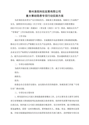 重大事故隐患专项行动实施方案.docx
