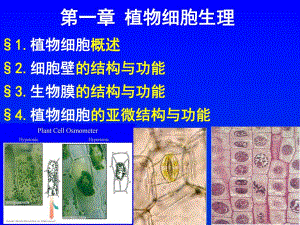 第一章土壤养分.ppt