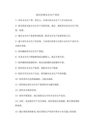 项目经理安全生产责任.docx