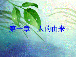 第一章人的由来复习.ppt