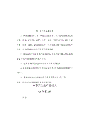 安全责任人任命书.docx