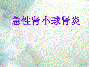 急性肾小球肾炎.ppt