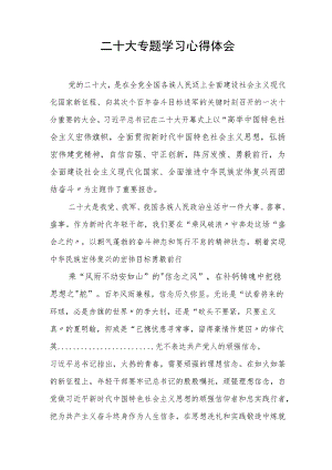 【心得】二十大专题学习心得体会（4页）.docx