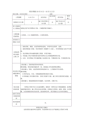 监理项目周报.docx