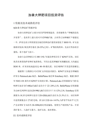 加拿大钾肥项目投资评估分析.docx
