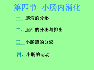 消化与吸收.ppt