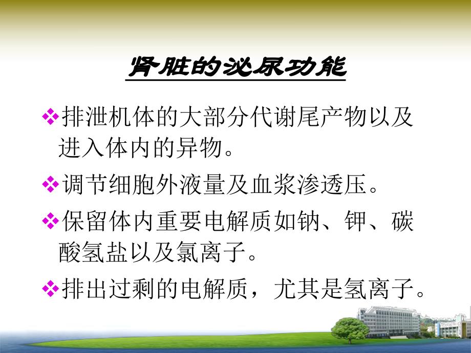 急慢性肾衰竭.ppt_第3页