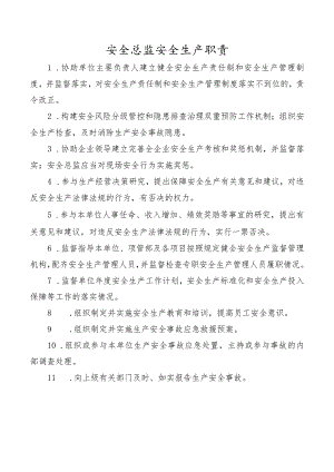 安全总监安全生产职责.docx