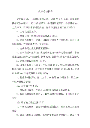 投标总结报告.docx