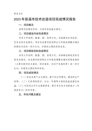 企业技术改造项目完成情况报告.docx