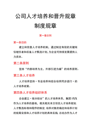 办公文档范本公司人才培养和晋升制度.docx