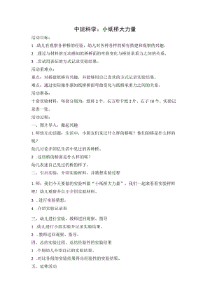 幼儿园优质公开课：中班科学《小纸桥大力量》教案.docx