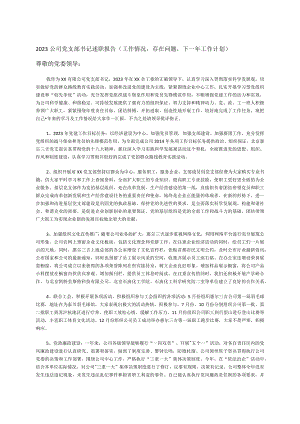 2023公司党支部书记述职报告(工作情况存在问题下一年工作计划).docx
