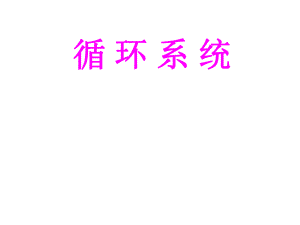 循环系统心脏.ppt.ppt