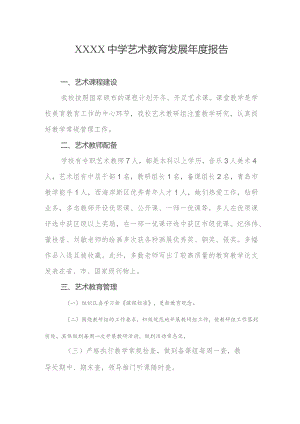 中学艺术教育发展年度报告.docx