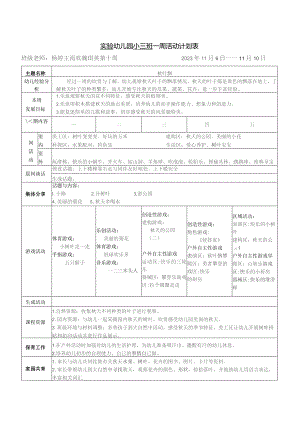 实验幼儿园小三班一周活动计划表.docx