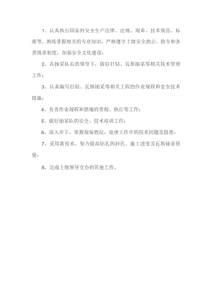 抽采队技术员岗位职责.docx