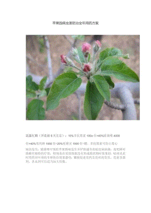苹果园病虫害防治全年用药方案.docx