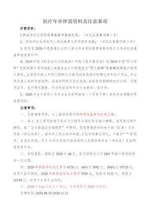 医疗年审注意事项.docx