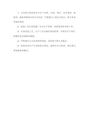 选煤厂副主任岗位职责.docx