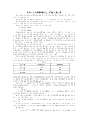 公司从业人员退职酬劳金运用及支配办法.docx