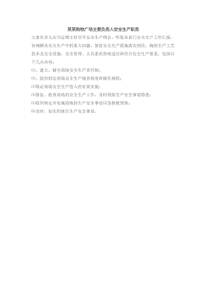 某某购物广场主要负责人安全生产职责.docx