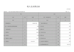 收入支决算总表.docx